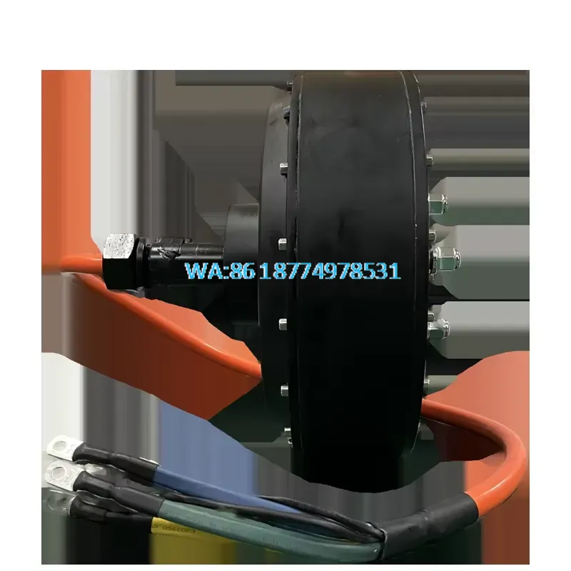 Wmwmnu voor QS 273 8000W 72V 5 - Qs Motor 273 8000W Hub Motor recensie en prijs